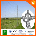 Acier galvanisé clôture de terrain clôture de fil de vache clôture de fil de mouton T publications